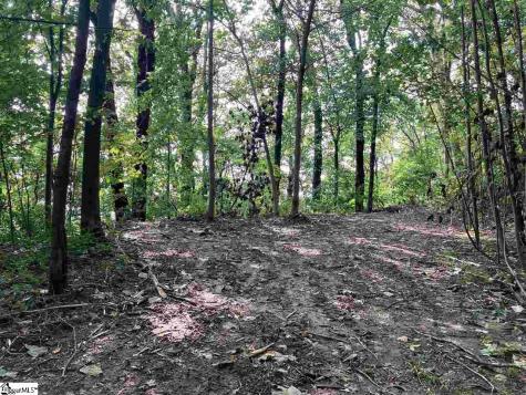 Boulder Lookout Drive Landrum SC 29356