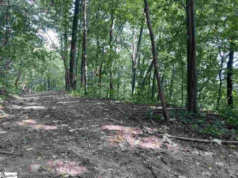 Boulder Lookout Drive Landrum SC 29356