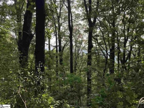 Boulder Lookout Drive Landrum SC 29356
