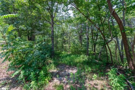 19 Foggy Ridge Way Travelers Rest SC 29690