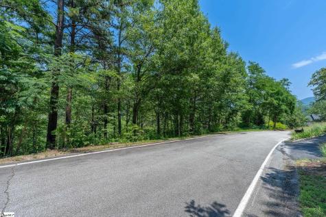 19 Foggy Ridge Way Travelers Rest SC 29690