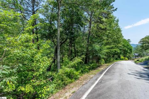 19 Foggy Ridge Way Travelers Rest SC 29690