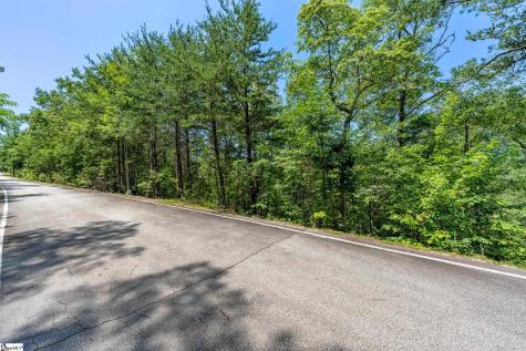 19 Foggy Ridge Way Travelers Rest SC 29690