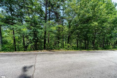 19 Foggy Ridge Way Travelers Rest SC 29690