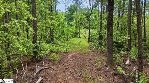 00 Todd Quarter Road Waterloo SC 29384