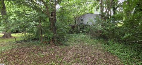 11 Valley Street Greenville SC 29611