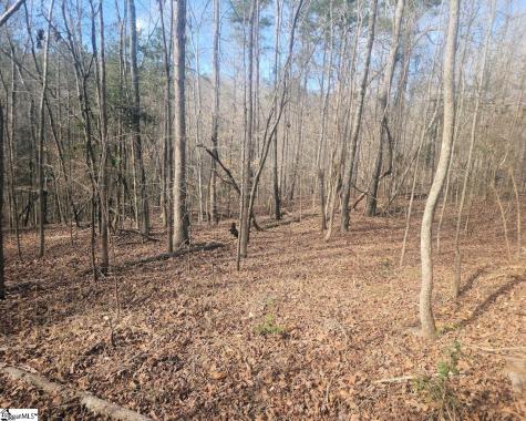 25 S Highway Ware Shoals SC 29692