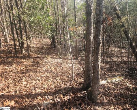 25 S Highway Ware Shoals SC 29692