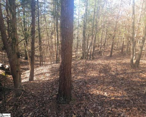 25 S Highway Ware Shoals SC 29692