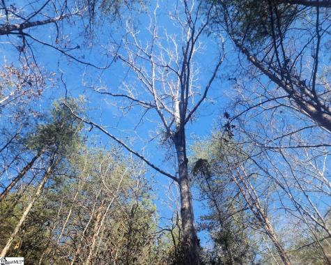 25 S Highway Ware Shoals SC 29692