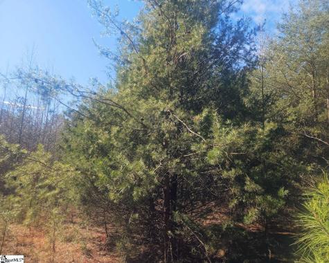 25 S Highway Ware Shoals SC 29692