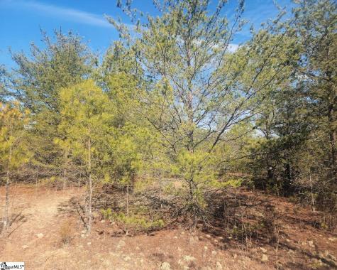 25 S Highway Ware Shoals SC 29692
