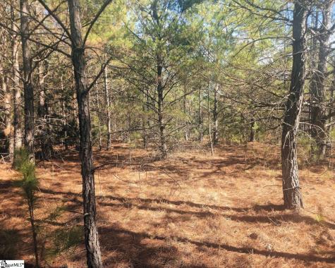25 S Highway Ware Shoals SC 29692