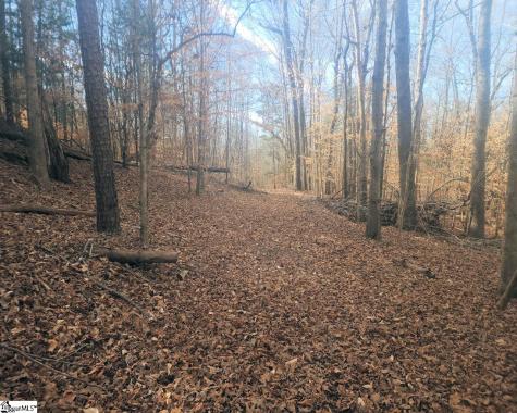 25 S Highway Ware Shoals SC 29692