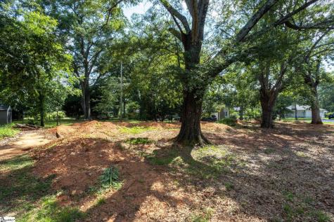 19 Willow Springs Drive Greenville SC 29607