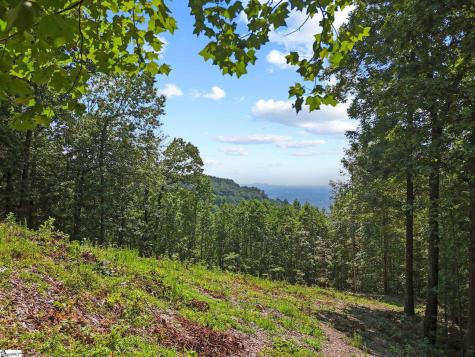 1394 Mountain Summit Road Travelers Rest SC 29690