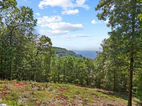 1394 Mountain Summit Road Travelers Rest SC 29690