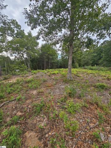 1142 Belue Mill Road Landrum SC 29356