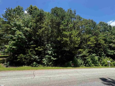 110 Peninsula Drive Laurens SC 29360