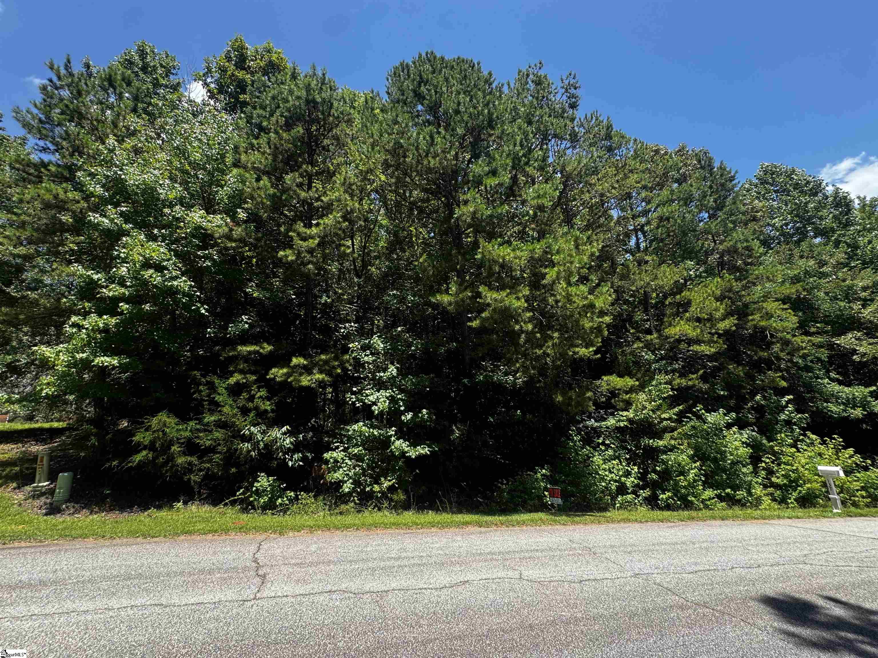110 Peninsula Drive Laurens SC 29360