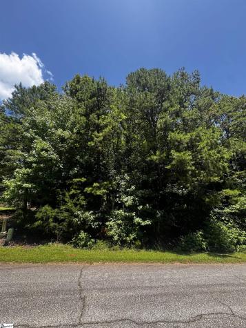 110 Peninsula Drive Laurens SC 29360