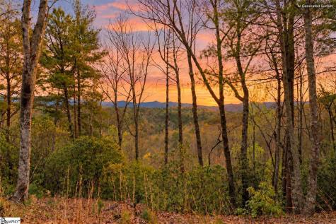 217 Buttercup Way Sunset SC 29685