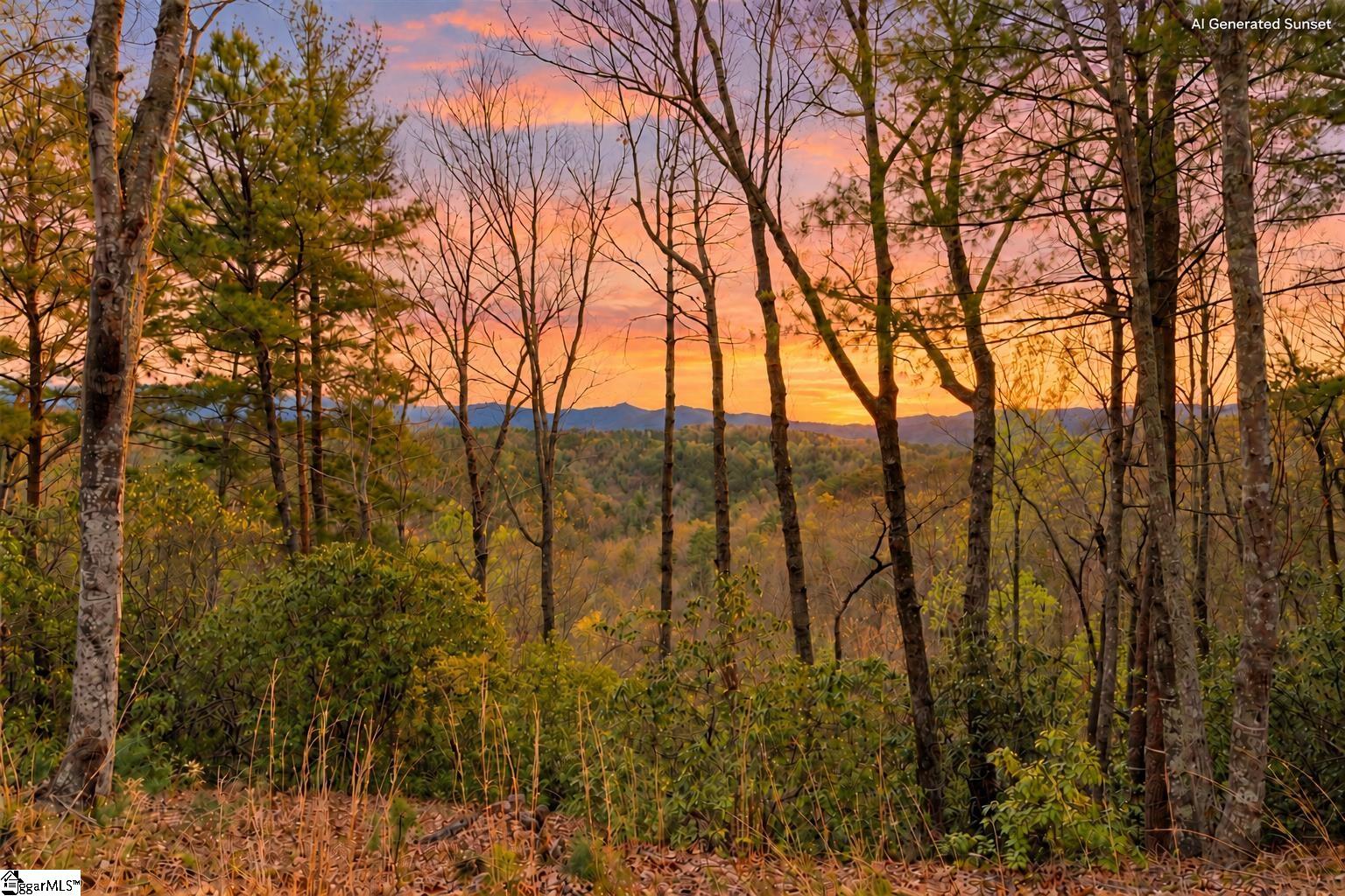 217 Buttercup Way Sunset SC 29685