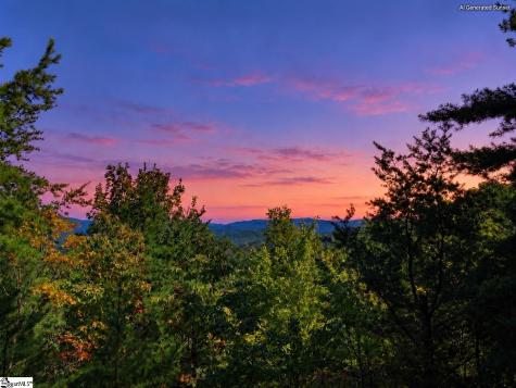 217 Buttercup Way Sunset SC 29685