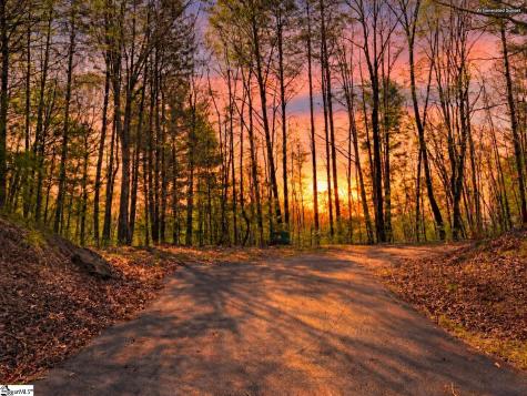 217 Buttercup Way Sunset SC 29685