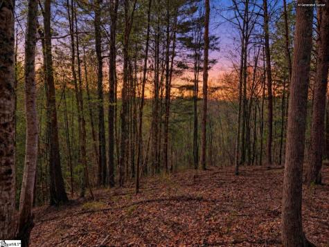 217 Buttercup Way Sunset SC 29685