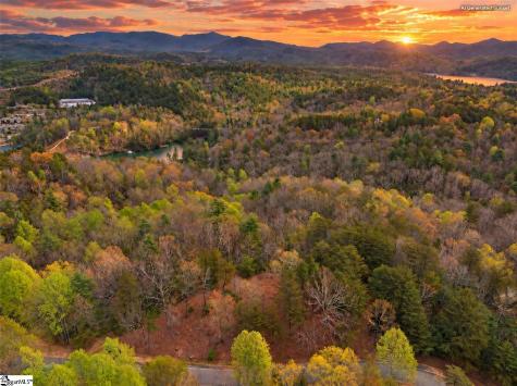 217 Buttercup Way Sunset SC 29685