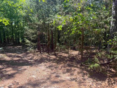 9816 Neely Ferry Road Waterloo SC 29384