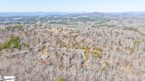 8 Gabriel Lane Pickens SC 29671