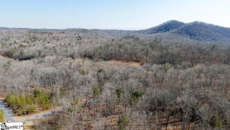 8 Gabriel Lane Pickens SC 29671