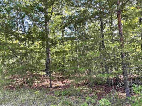 00 Whitewater Point Road Tamassee SC 29686
