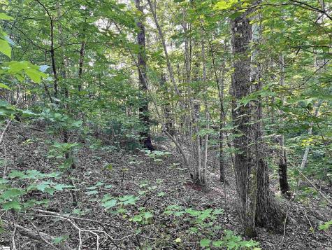 00 Whitewater Point Road Tamassee SC 29686