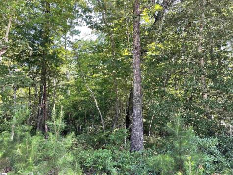 00 Whitewater Point Road Tamassee SC 29686