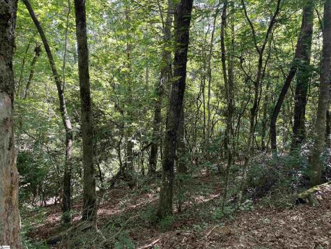 00 Whitewater Point Road Tamassee SC 29686