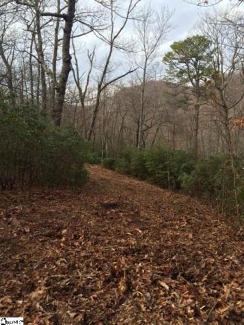 Panther Mountain Road Travelers Rest SC 29690