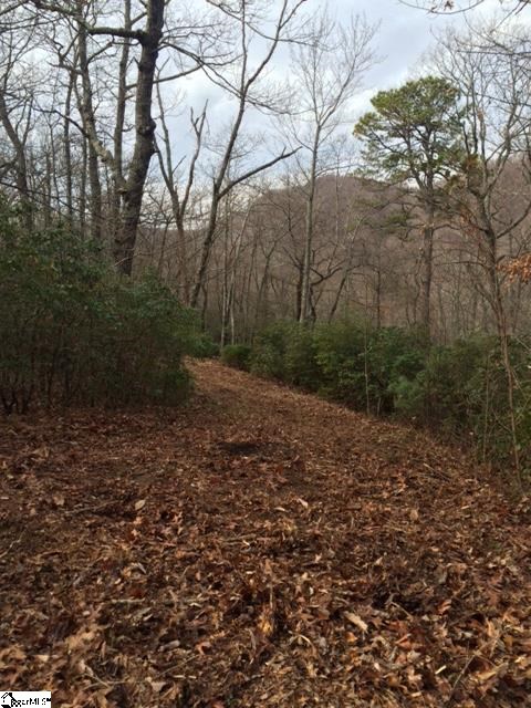 Panther Mountain Road Travelers Rest SC 29690