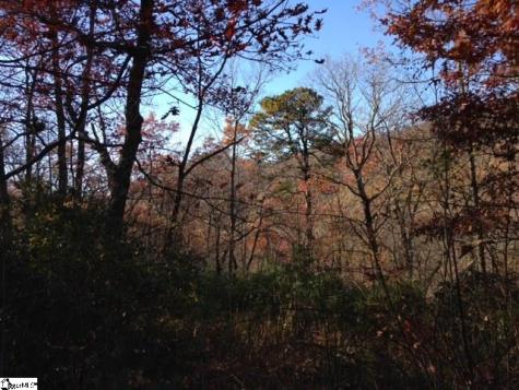 Panther Mountain Road Travelers Rest SC 29690