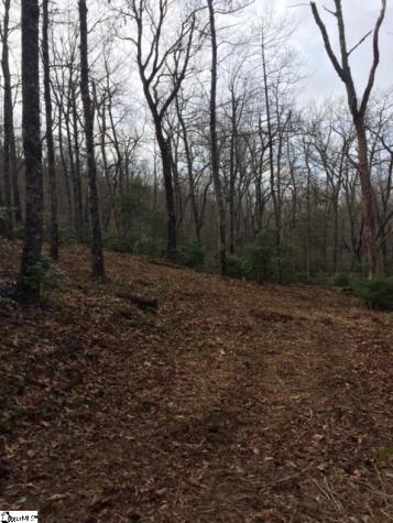 Panther Mountain Road Travelers Rest SC 29690