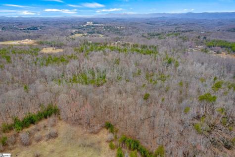 0000028A Tubbs Mountain Road Travelers Rest SC 29690