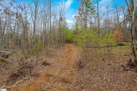 0000028A Tubbs Mountain Road Travelers Rest SC 29690