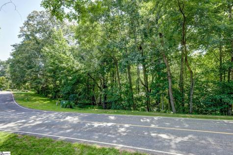 00 Moss Pink Way Landrum SC 29356