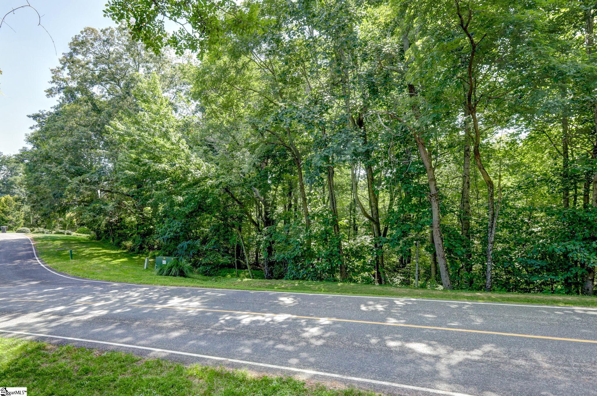 00 Moss Pink Way Landrum SC 29356