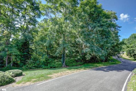 00 Moss Pink Way Landrum SC 29356