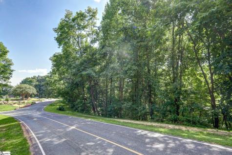 00 Moss Pink Way Landrum SC 29356