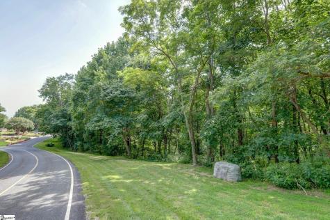 00 Moss Pink Way Landrum SC 29356