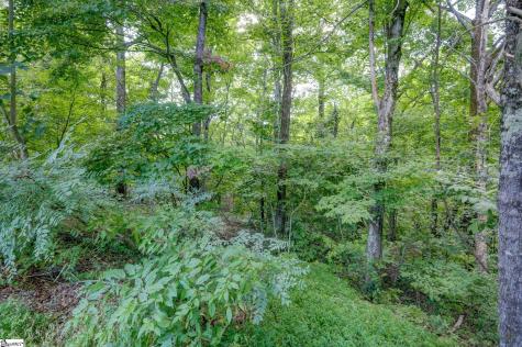 00 Moss Pink Way Landrum SC 29356